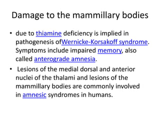 Damage to the mammillary bodies
• due to thiamine deficiency is implied in
  pathogenesis ofWernicke-Korsakoff syndrome.
  Symptoms include impaired memory, also
  called anterograde amnesia.
• Lesions of the medial dorsal and anterior
  nuclei of the thalami and lesions of the
  mammillary bodies are commonly involved
  in amnesic syndromes in humans.
 