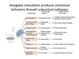 Amygdala stimulation produces emotional
 behaviors through subcortical pathways
 