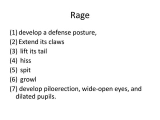 Rage
(1) develop a defense posture,
(2) Extend its claws
(3) lift its tail
(4) hiss
(5) spit
(6) growl
(7) develop piloerection, wide-open eyes, and
  dilated pupils.
 