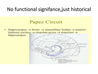 No functional signifance,just historical
 