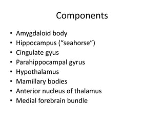 Components
•   Amygdaloid body
•   Hippocampus (“seahorse”)
•   Cingulate gyus
•   Parahippocampal gyrus
•   Hypothalamus
•   Mamillary bodies
•   Anterior nucleus of thalamus
•   Medial forebrain bundle
 