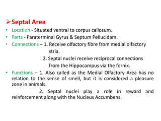 Septal Area
• Location - Situated ventral to corpus callosum.
• Parts - Paraterminal Gyrus & Septum Pellucidam.
• Connections – 1. Receive olfactory fibre from medial olfactory
stria.
2. Septal nuclei receive reciprocal connections
from the Hippocampus via the fornix.
• Functions – 1. Also called as the Medial Olfactory Area has no
relation to the sense of smell, but it is considered a pleasure
zone in animals.
2. Septal nuclei play a role in reward and
reinforcement along with the Nucleus Accumbens.
 