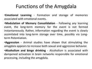 •Emotional Learning - Formation and storage of memories
associated with emotional events.
•Modulation of Memory Consolidation - Following any learning
event, the long-term memory for the event is not formed
instantaneously. Rather, information regarding the event is slowly
assimilated into long-term storage over time, possibly via Long-
term Potentiation.
•Aggression - Animal studies have shown that stimulating the
amygdala appears to increase both sexual and aggressive behavior.
•Alcoholism and binge drinking - Alcoholism is associated with
dampened activation in brain networks responsible for emotional
processing, including the amygdala.
Functions of the Amygdala
 