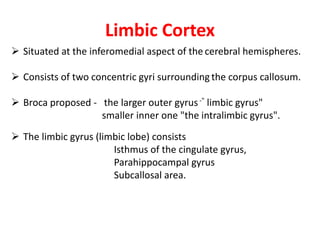 Limbic Cortex
 Situated at the inferomedial aspect of the cerebral hemispheres.
 Consists of two concentric gyri surrounding the corpus callosum.
 Broca proposed - the larger outer gyrus-" limbic gyrus"
smaller inner one "the intralimbic gyrus".
 The limbic gyrus (limbic lobe) consists
Isthmus of the cingulate gyrus,
Parahippocampal gyrus
Subcallosal area.
 
