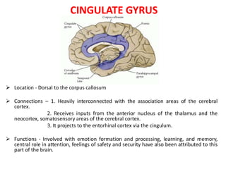 CINGULATE GYRUS
 Location - Dorsal to the corpus callosum
 Connections – 1. Heavily interconnected with the association areas of the cerebral
cortex.
2. Receives inputs from the anterior nucleus of the thalamus and the
neocortex, somatosensory areas of the cerebral cortex.
3. It projects to the entorhinal cortex via the cingulum.
 Functions - Involved with emotion formation and processing, learning, and memory,
central role in attention, feelings of safety and security have also been attributed to this
part of the brain.
 