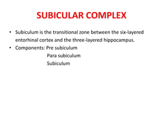 SUBICULAR COMPLEX
• Subiculum is the transitional zone between the six-layered
entorhinal cortex and the three-layered hippocampus.
• Components: Pre subiculum
Para subiculum
Subiculum
 