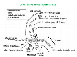 Connections of the Hypothalamus
 