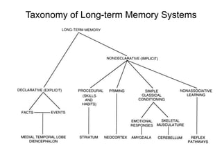 Taxonomy of Long-term Memory Systems
 