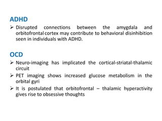 ADHD
 Disrupted connections between the amygdala and
orbitofrontalcortex may contribute to behavioral disinhibition
seen in individuals with ADHD.
OCD
 Neuro-imaging has implicated the cortical-striatal-thalamic
circuit
 PET imaging shows increased glucose metabolism in the
orbital gyri
 It is postulated that orbitofrontal – thalamic hyperactivity
gives rise to obsessive thoughts
 
