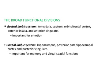 THE BROAD FUNCTIONAL DIVISIONS
• Rostral limbic system: Amygdala, septum, orbitofrontal cortex,
anterior insula, and anterior cingulate.
– Important for emotion
• Caudal limbic system: Hippocampus, posterior parahippocampal
cortex and posterior cingulate.
– Important for memory and visual-spatial functions
 