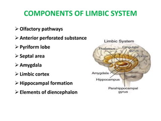 COMPONENTS OF LIMBIC SYSTEM
Olfactory pathways
Anterior perforated substance
Pyriform lobe
Septal area
Amygdala
Limbic cortex
Hippocampal formation
Elements of diencephalon
 
