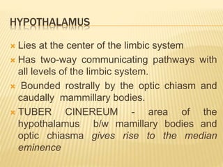 HYPOTHALAMUS
 Lies at the center of the limbic system
 Has two-way communicating pathways with
all levels of the limbic system.
 Bounded rostrally by the optic chiasm and
caudally mammillary bodies.
 TUBER CINEREUM - area of the
hypothalamus b/w mamillary bodies and
optic chiasma gives rise to the median
eminence
 