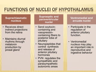 FUNCTIONS OF NUCLEI OF HYPOTHALAMUS
Suprachiasmatic
nucleus
• Receives direct
indirect projections
from the retina
• Maintains diurnal
rhythms through
melatonin
production by
pineal gland
Supraoptic and
paraventricular
nuclei
• Send oxytocin-
containing and
vasopressin-
containing fibers to
posterior lobe of
pituitary
• Neuropeptides that
control synthesis
and release of
anterior pituitary
hormones
• PVN regulates the
sympathetic and
parasympathetic
autonomic areas
Ventromedial and
arcuate nuclei
• Participate in the
regulation of
anterior pituitary
function.
• Ventromedial
nucleus may play
an important role in
reproductive and
ingestive behavior
 