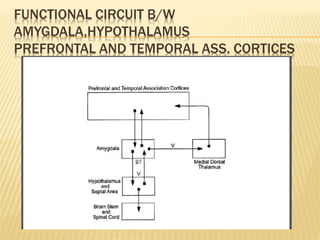 FUNCTIONAL CIRCUIT B/W
AMYGDALA,HYPOTHALAMUS
PREFRONTAL AND TEMPORAL ASS. CORTICES
 