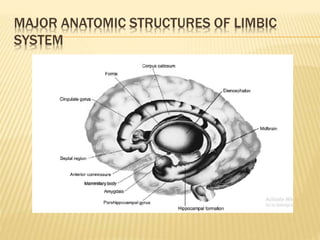 MAJOR ANATOMIC STRUCTURES OF LIMBIC
SYSTEM
 