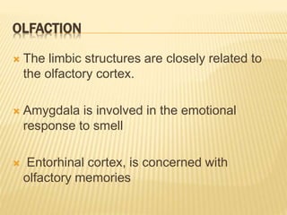 OLFACTION
 The limbic structures are closely related to
the olfactory cortex.
 Amygdala is involved in the emotional
response to smell
 Entorhinal cortex, is concerned with
olfactory memories
 