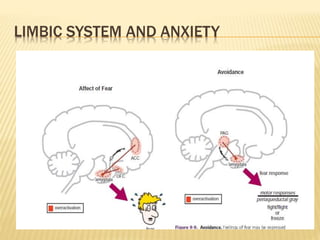 LIMBIC SYSTEM AND ANXIETY
 