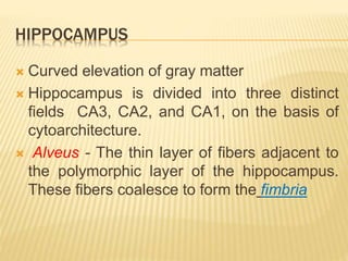 HIPPOCAMPUS
 Curved elevation of gray matter
 Hippocampus is divided into three distinct
fields CA3, CA2, and CA1, on the basis of
cytoarchitecture.
 Alveus - The thin layer of fibers adjacent to
the polymorphic layer of the hippocampus.
These fibers coalesce to form the fimbria
 