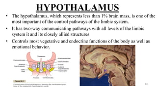 HYPOTHALAMUS
• The hypothalamus, which represents less than 1% brain mass, is one of the
most important of the control pathways of the limbic system.
• It has two-way communicating pathways with all levels of the limbic
system it and its closely allied structures
• Controls most vegetative and endocrine functions of the body as well as
emotional behavior.
14
 
