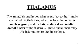 THALAMUS
The amygdala and hypothalamus project to the “limbic
nuclei” of the thalamus, which include the anterior
nuclear group and the lateral dorsal and medial
dorsal nuclei of the thalamus. These nuclei then relay
this information to the limbic lobe.
17
 