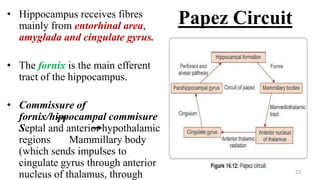 Papez Circuit• Hippocampus receives fibres
mainly from entorhinal area,
amyglada and cingulate gyrus.
• The fornix is the main efferent
tract of the hippocampus.
• Commissure of
fornix/hippocampal commisure
Septal and anterior hypothalamic
regions Mammillary body
(which sends impulses to
cingulate gyrus through anterior
nucleus of thalamus, through 23
 