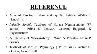 REFERENCE
• Atlas of Functional Neuroanatomy 2nd Edition -Walter J.
Hendelman
• Inderbir Singh's Textbook of Human Neuroanatomy (9th
edition) - Pritha S Bhuiyan, Lakshmi Rajgopal, K
Shyamkishore
• A Textbook of Neuroanatomy - Maria A. Patestas, Leslie P.
Gartner
• Textbook of Medical Physiology (11th edition) - Arthur C.
Guyton, John E. Hall. 27
 