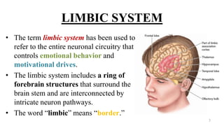 LIMBIC SYSTEM
• The term limbic system has been used to
refer to the entire neuronal circuitry that
controls emotional behavior and
motivational drives.
• The limbic system includes a ring of
forebrain structures that surround the
brain stem and are interconnected by
intricate neuron pathways.
• The word “limbic” means “border.”
3
 