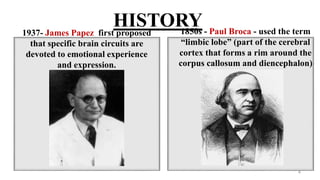 HISTORY1937- James Papez first proposed
that specific brain circuits are
devoted to emotional experience
and expression.
1850s - Paul Broca - used the term
“limbic lobe” (part of the cerebral
cortex that forms a rim around the
corpus callosum and diencephalon)
4
 