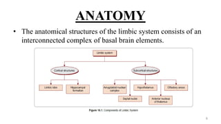 ANATOMY
• The anatomical structures of the limbic system consists of an
interconnected complex of basal brain elements.
6
 