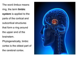 What Are The 3 Parts Of The Limbic System