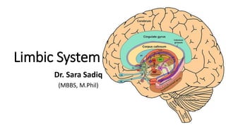 Limbic System
Dr. Sara Sadiq
(MBBS, M.Phil)
 