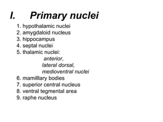 I. Primary nuclei
1. hypothalamic nuclei
2. amygdaloid nucleus
3. hippocampus
4. septal nuclei
5. thalamic nuclei:
anterior,
lateral dorsal,
medioventral nuclei
6. mamilllary bodies
7. superior central nucleus
8. ventral tegmental area
9. raphe nucleus
 