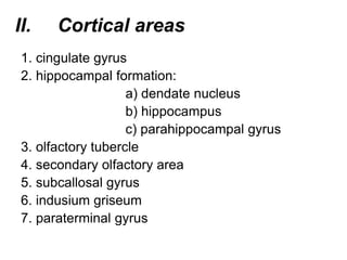 1. cingulate gyrus
2. hippocampal formation:
a) dendate nucleus
b) hippocampus
c) parahippocampal gyrus
3. olfactory tubercle
4. secondary olfactory area
5. subcallosal gyrus
6. indusium griseum
7. paraterminal gyrus
II. Cortical areas
 