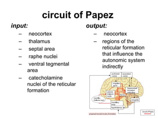 circuit of Papez
input:
– neocortex
– thalamus
– septal area
– raphe nuclei
– ventral tegmental
area
– catecholamine
nuclei of the reticular
formation
output:
– neocortex
– regions of the
reticular formation
that influence the
autonomic system
indirectly
 