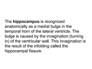 The hippocampus is recognized
anatomically as a medial bulge in the
temporal horn of the lateral ventricle. The
bulge is caused by the invagination (turning
in) of the ventricular wall. This invagination is
the result of the infolding called the
hippocampal fissure.
 