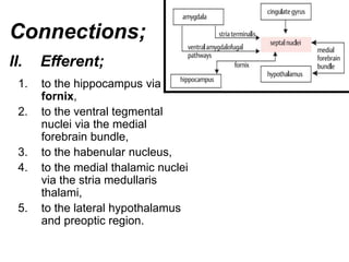 1. to the hippocampus via the
fornix,
2. to the ventral tegmental
nuclei via the medial
forebrain bundle,
3. to the habenular nucleus,
4. to the medial thalamic nuclei
via the stria medullaris
thalami,
5. to the lateral hypothalamus
and preoptic region.
Connections;
II. Efferent;
 