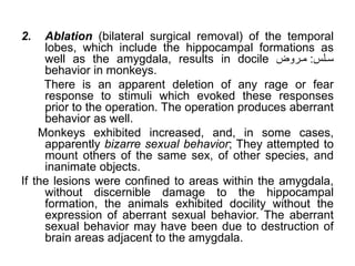 2. Ablation (bilateral surgical removal) of the temporal
lobes, which include the hippocampal formations as
well as the amygdala, results in docile ّ‫ل‬‫ل‬‫س‬
:
‫و‬ ‫ل‬‫ل‬‫م‬
behavior in monkeys.
There is an apparent deletion of any rage or fear
response to stimuli which evoked these responses
prior to the operation. The operation produces aberrant
behavior as well.
Monkeys exhibited increased, and, in some cases,
apparently bizarre sexual behavior; They attempted to
mount others of the same sex, of other species, and
inanimate objects.
If the lesions were confined to areas within the amygdala,
without discernible damage to the hippocampal
formation, the animals exhibited docility without the
expression of aberrant sexual behavior. The aberrant
sexual behavior may have been due to destruction of
brain areas adjacent to the amygdala.
 