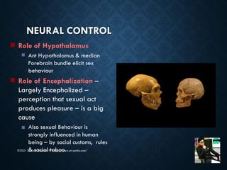 Limbic system - Dr Rohit Bhaskar | PDF