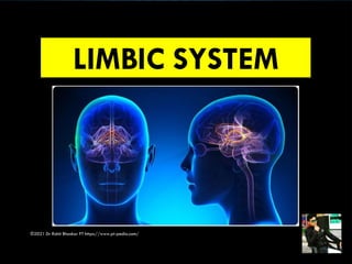 LIMBIC SYSTEM
©2021 Dr Rohit Bhaskar PT https://www.pt-pedia.com/
 