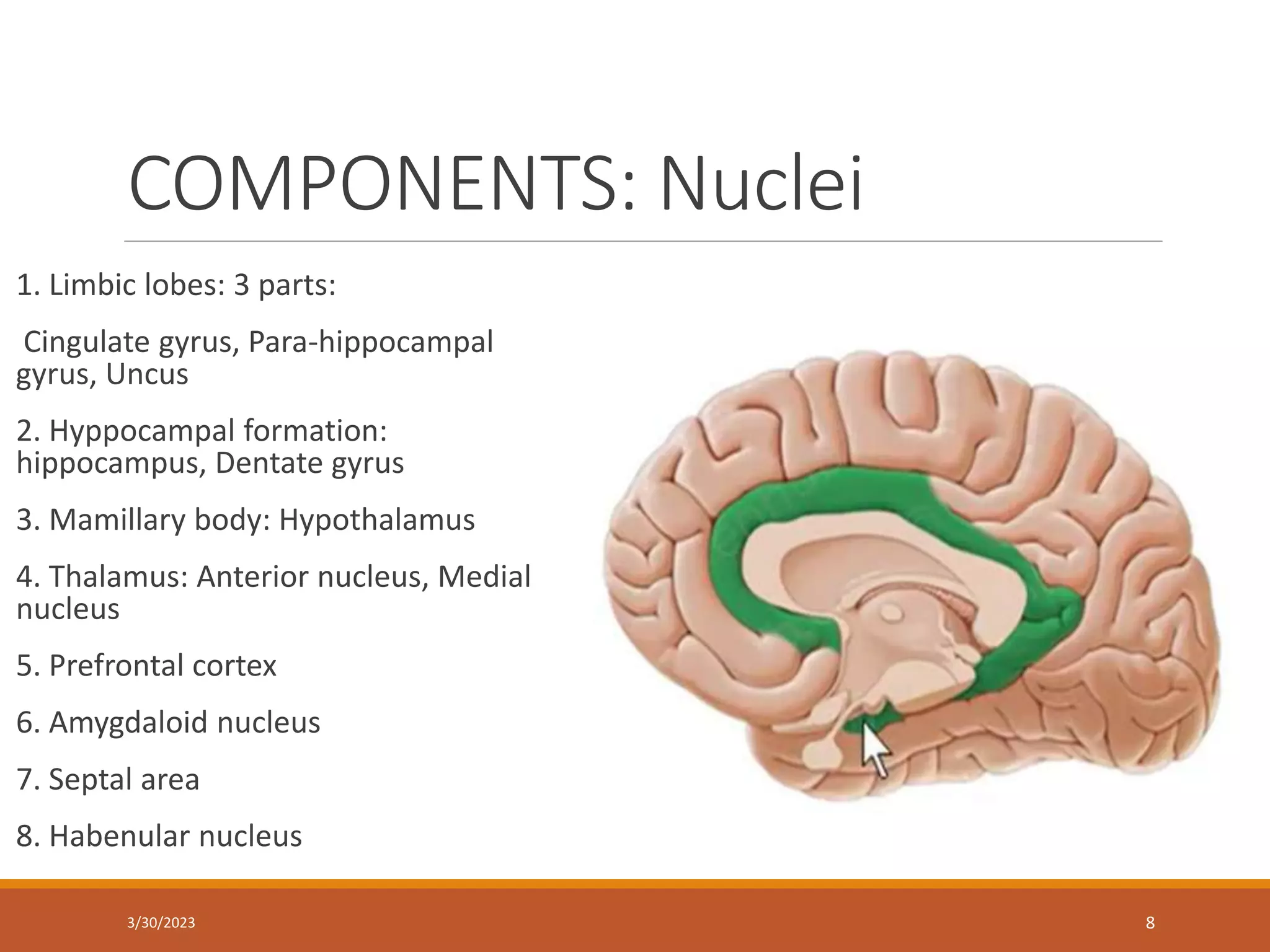 COMPONENTS: Nuclei
1. Limbic lobes: 3 parts:
Cingulate gyrus, Para-hippocampal
gyrus, Uncus
2. Hyppocampal formation:
hippocampus, Dentate gyrus
3. Mamillary body: Hypothalamus
4. Thalamus: Anterior nucleus, Medial
nucleus
5. Prefrontal cortex
6. Amygdaloid nucleus
7. Septal area
8. Habenular nucleus
8
3/30/2023
 