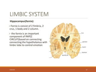 limbic system.pptx