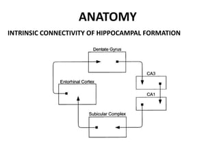 ANATOMY
INTRINSIC CONNECTIVITY OF HIPPOCAMPAL FORMATION
 