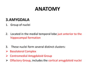 ANATOMY
3.AMYGDALA
1. Group of nuclei
2. Located in the medial temporal lobe just anterior to the
hippocampal formation
3. These nuclei form several distinct clusters:
 Basolateral Complex
 Centromedial Amygdaloid Group
 Olfactory Group, includes the cortical amygdaloid nuclei
 
