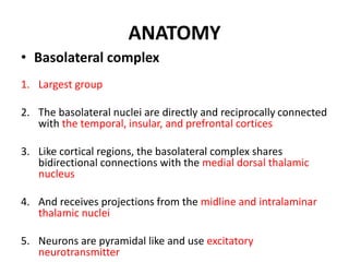 ANATOMY
• Basolateral complex
1. Largest group
2. The basolateral nuclei are directly and reciprocally connected
with the temporal, insular, and prefrontal cortices
3. Like cortical regions, the basolateral complex shares
bidirectional connections with the medial dorsal thalamic
nucleus
4. And receives projections from the midline and intralaminar
thalamic nuclei
5. Neurons are pyramidal like and use excitatory
neurotransmitter
 
