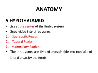 ANATOMY
5.HYPOTHALAMUS
• Lies at the center of the limbic system
• Subdivided into three zones:
1. Supraoptic Region
2. Tuberal Region
3. Mammillary Region
• The three zones are divided on each side into medial and
lateral areas by the fornix.
 