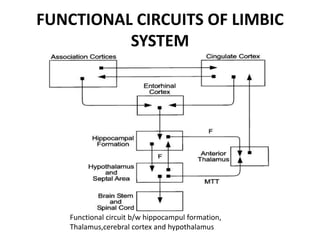 FUNCTIONAL CIRCUITS OF LIMBIC
SYSTEM
Functional circuit b/w hippocampul formation,
Thalamus,cerebral cortex and hypothalamus
 