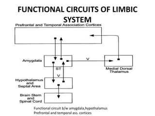 FUNCTIONAL CIRCUITS OF LIMBIC
SYSTEM
Functional circuit b/w amygdala,hypothalamus
Prefrontal and temporal ass. cortices
 