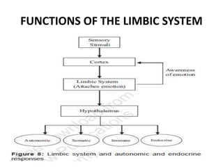 FUNCTIONS OF THE LIMBIC SYSTEM
 