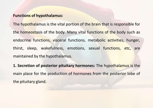 LIMBIC SYSTEM VENTICLES OF BRAIN CSF AND ITS FUNCTIONS | PPT