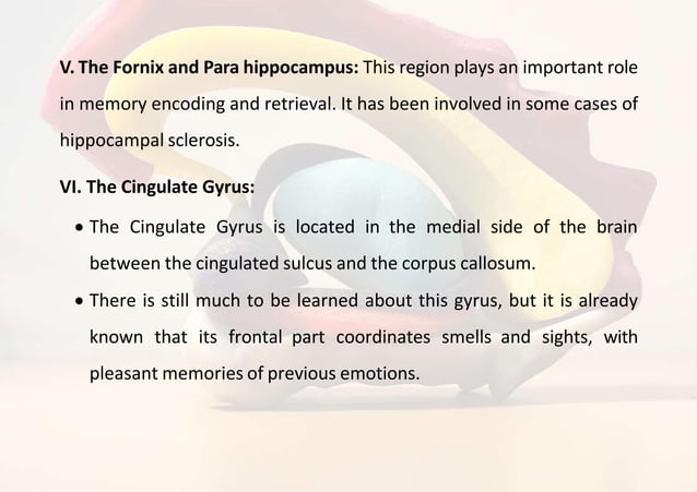 LIMBIC SYSTEM VENTICLES OF BRAIN CSF AND ITS FUNCTIONS | PPT